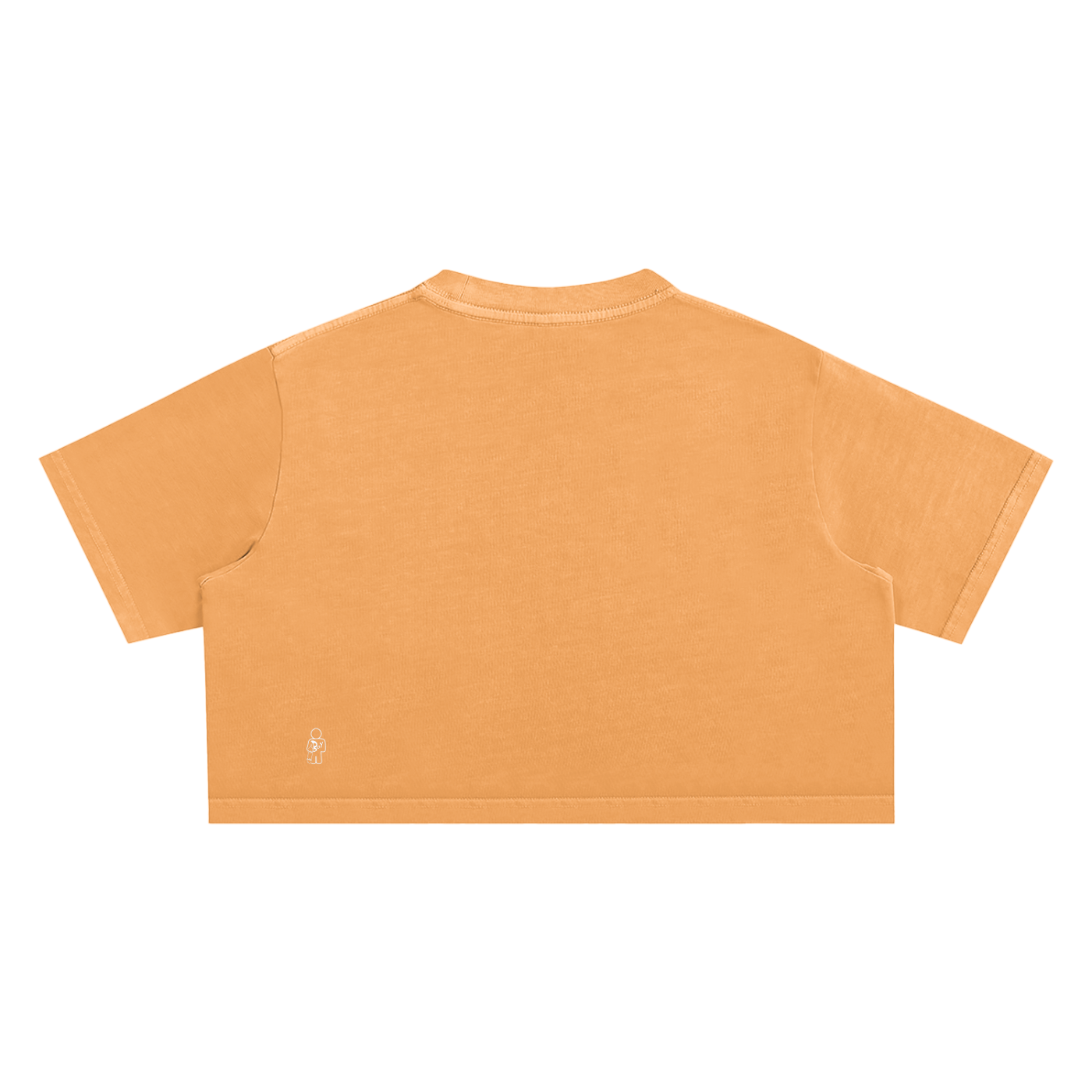 Snow Washed Crop Top