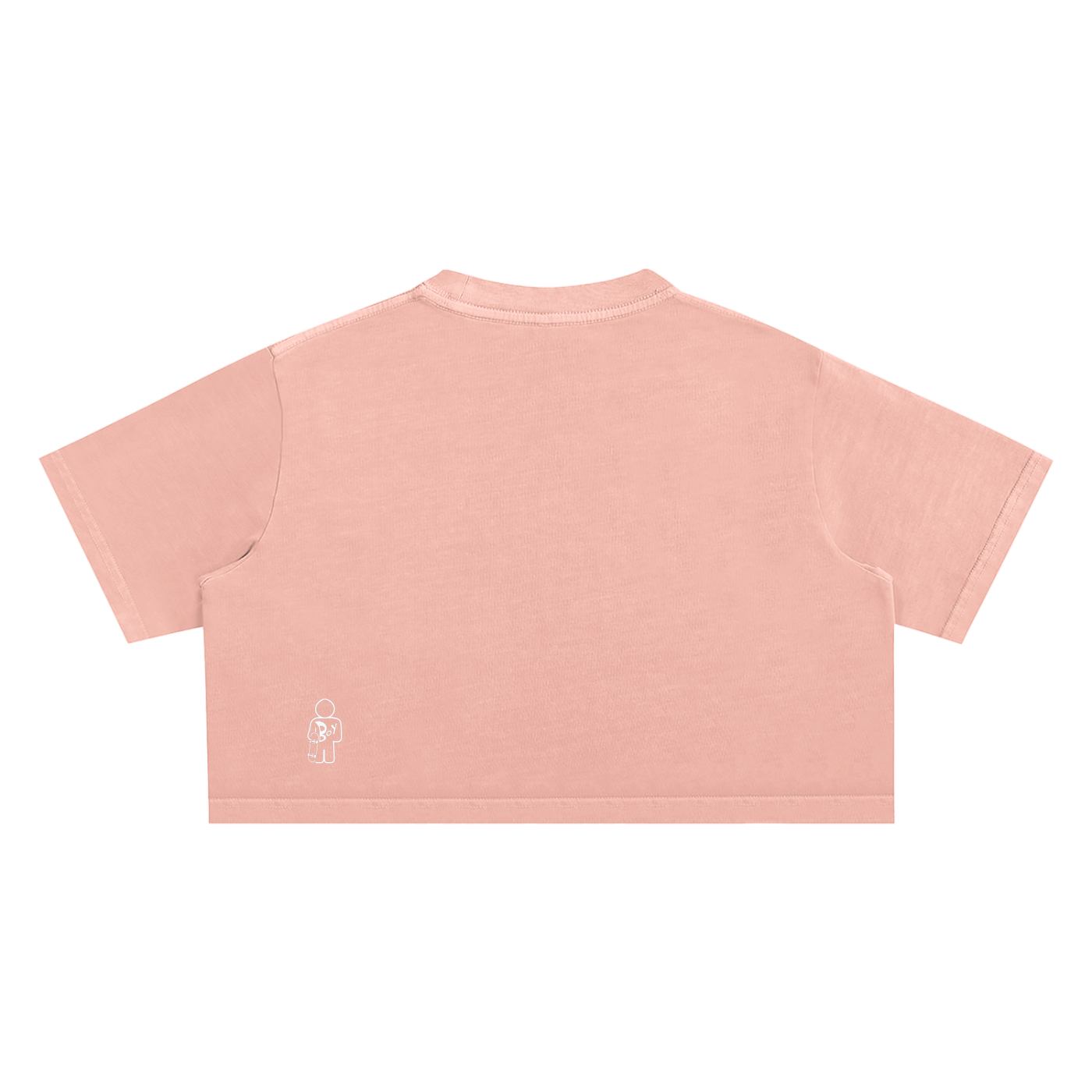 Snow Washed Crop Top