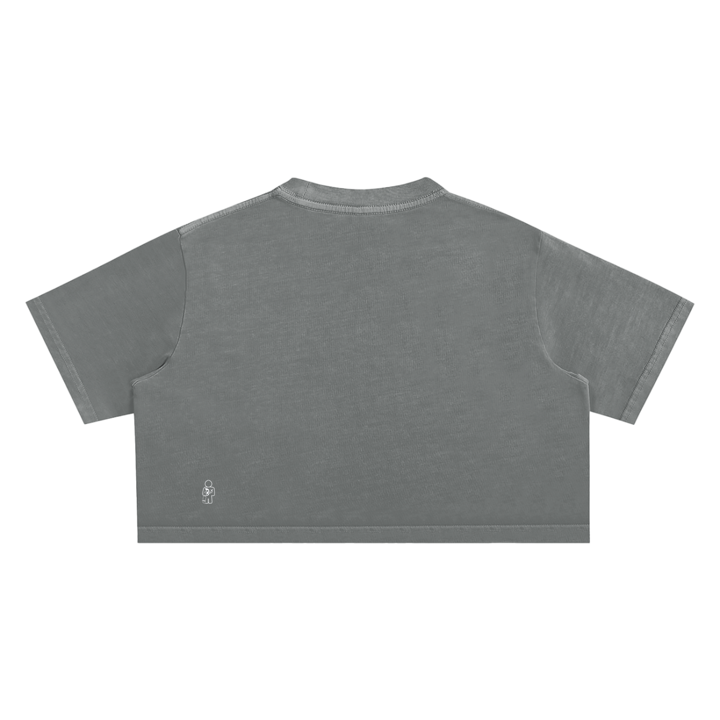 Snow Washed Crop Top